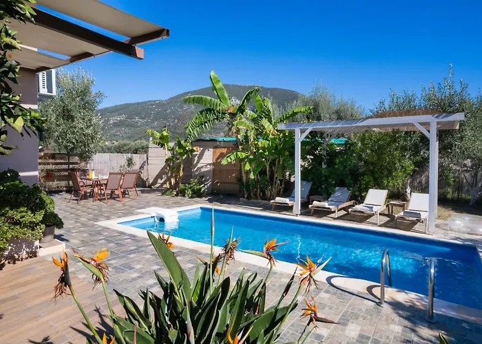 Rigilis By Vintage Travel