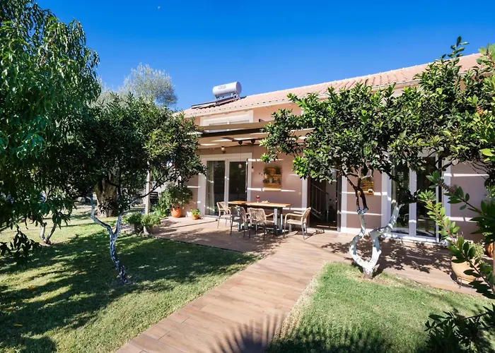 Rigilis By Vintage Travel *